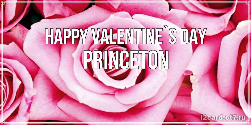 Greetings card с именем, Princeton Happy Valentine`s Day роза розовая на день Святого Валентина Greetings with text for free download 
